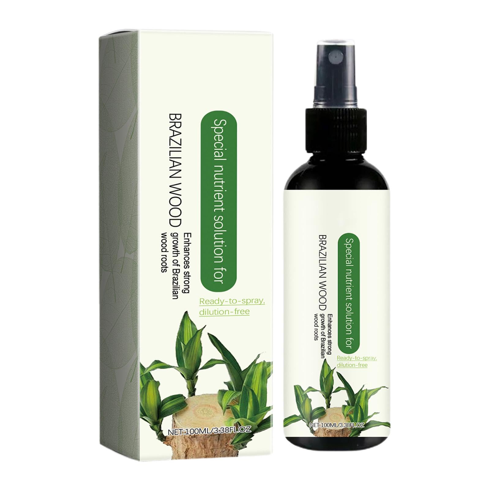 Kentia Howea Palmen | Hydrocultuur planten