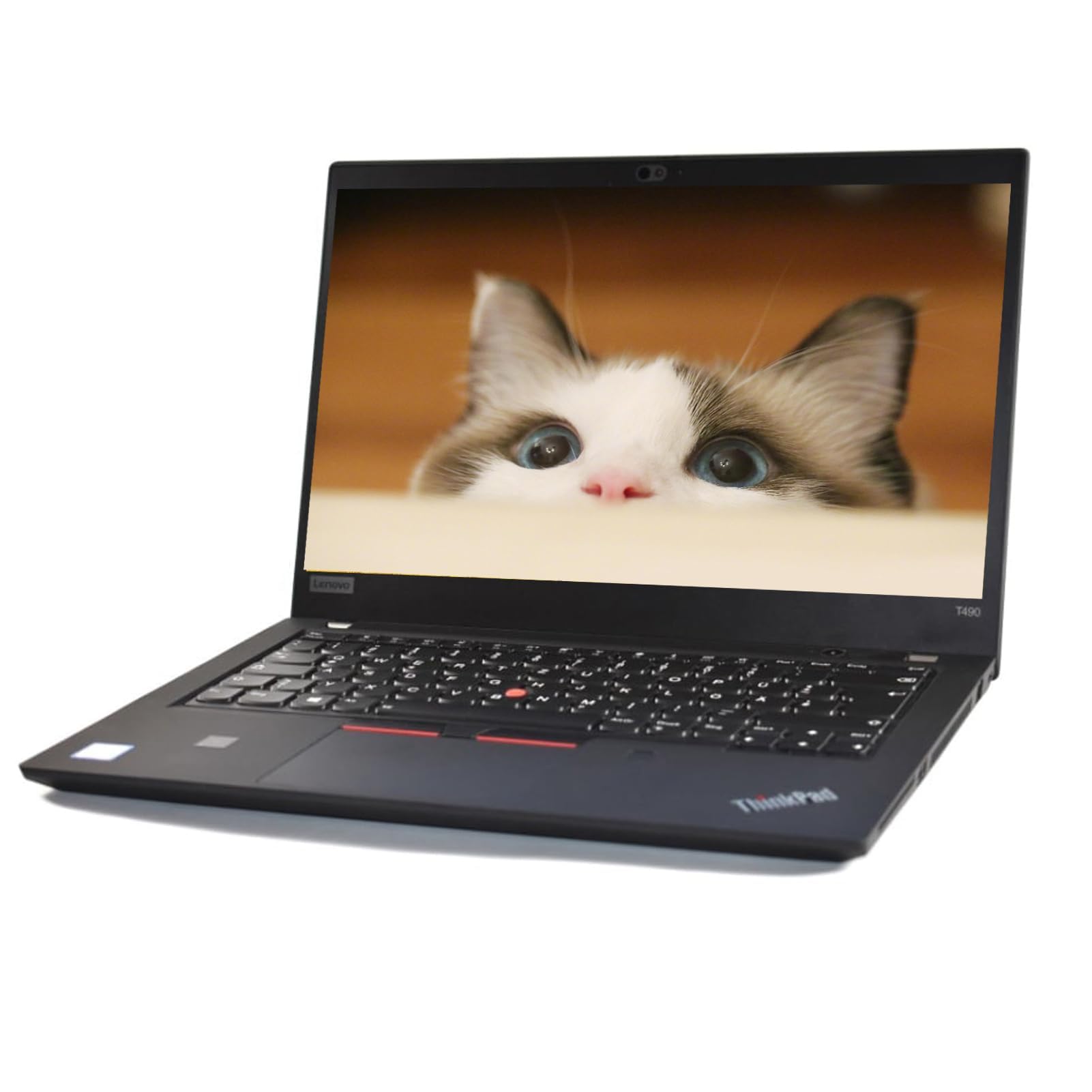 Lenovo Thinkpad T490 Ordinateur portable professionnel 14" (1366 x 768), Intel Core i5-8365U, 8 Go de RAM, SSD 256 Go, clavier QWERTY américain, Windows 11 Pro (reconditionné)