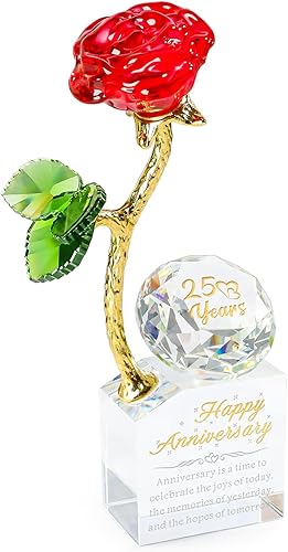 YWHL 25th Wedding Anniversary Rose Gifts for Couples - Diamond Anniversary Gifts For Her