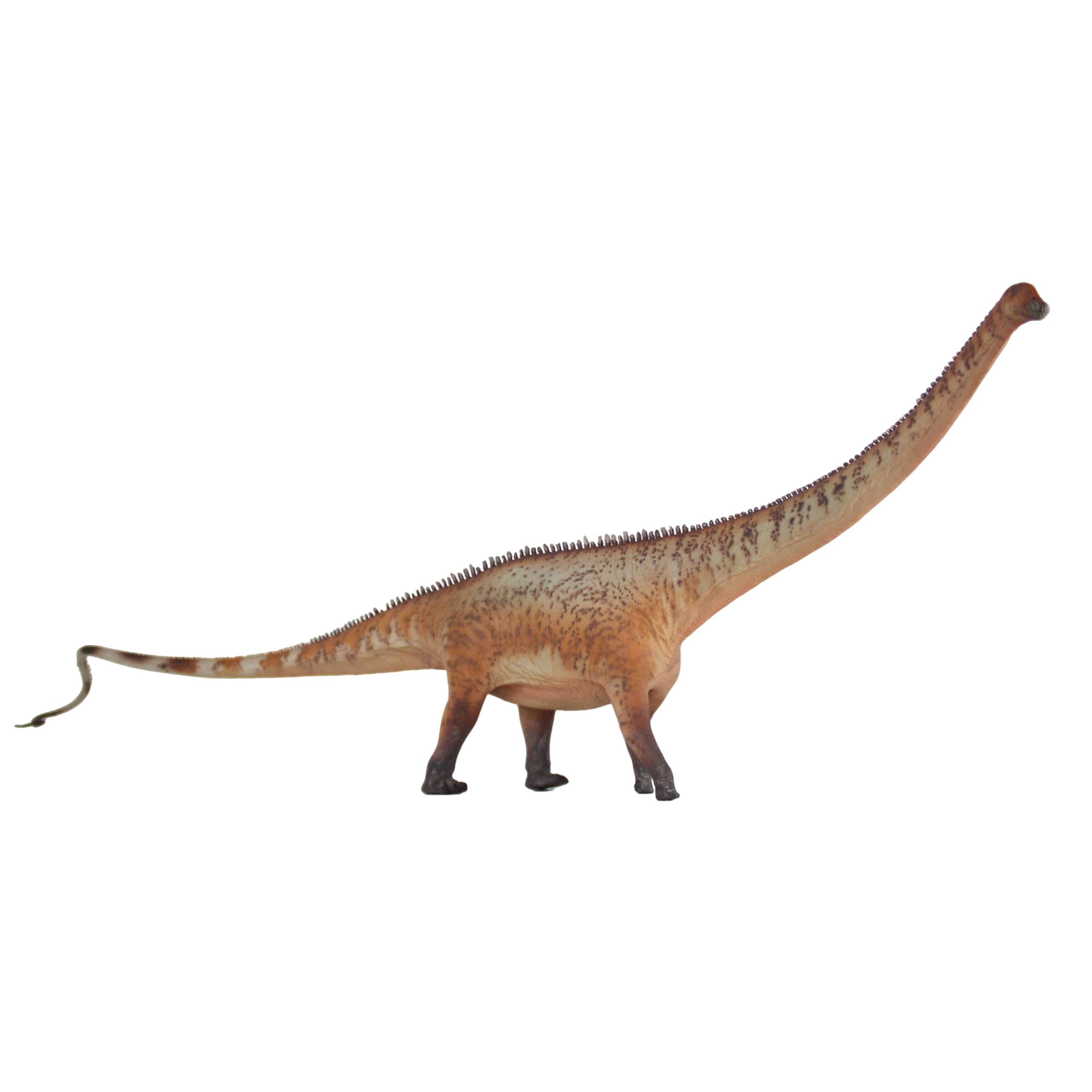 Statuette Diplodocus 1:35 AMITD réplique de collection haute peinture