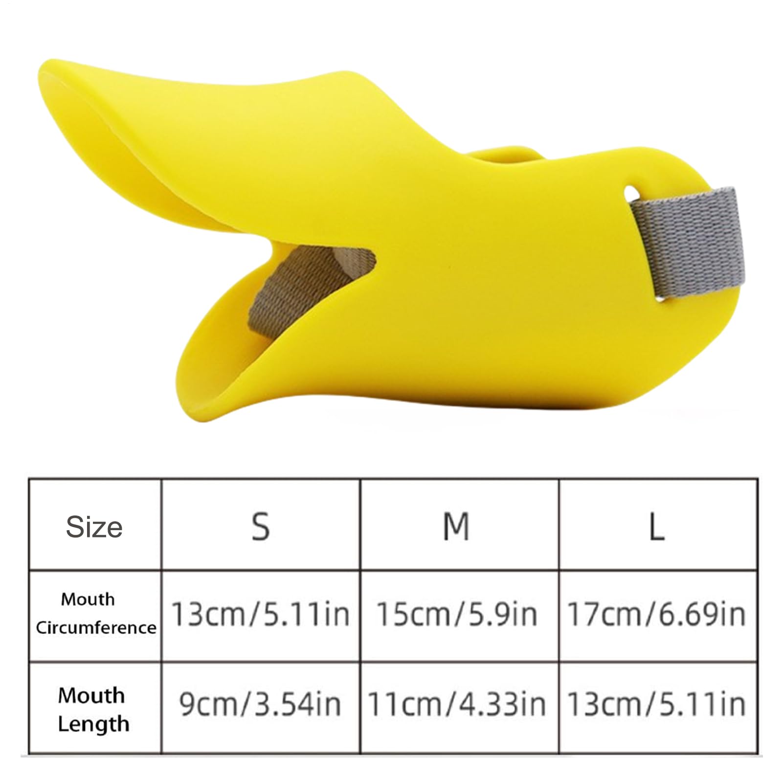 View 5