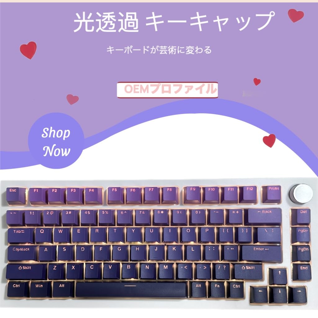 Amazon.co.jp: キーキャップ 132キー ダブルショット OEMプロファイル