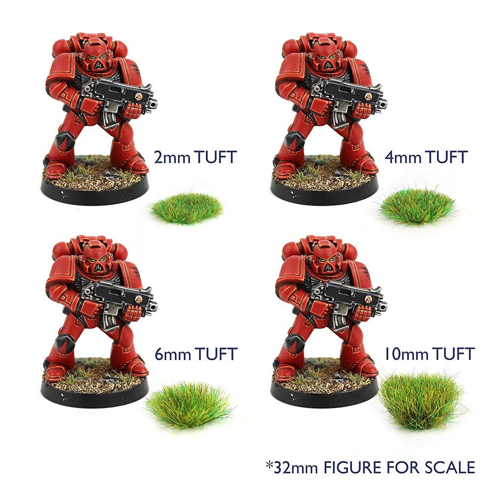 View 6
