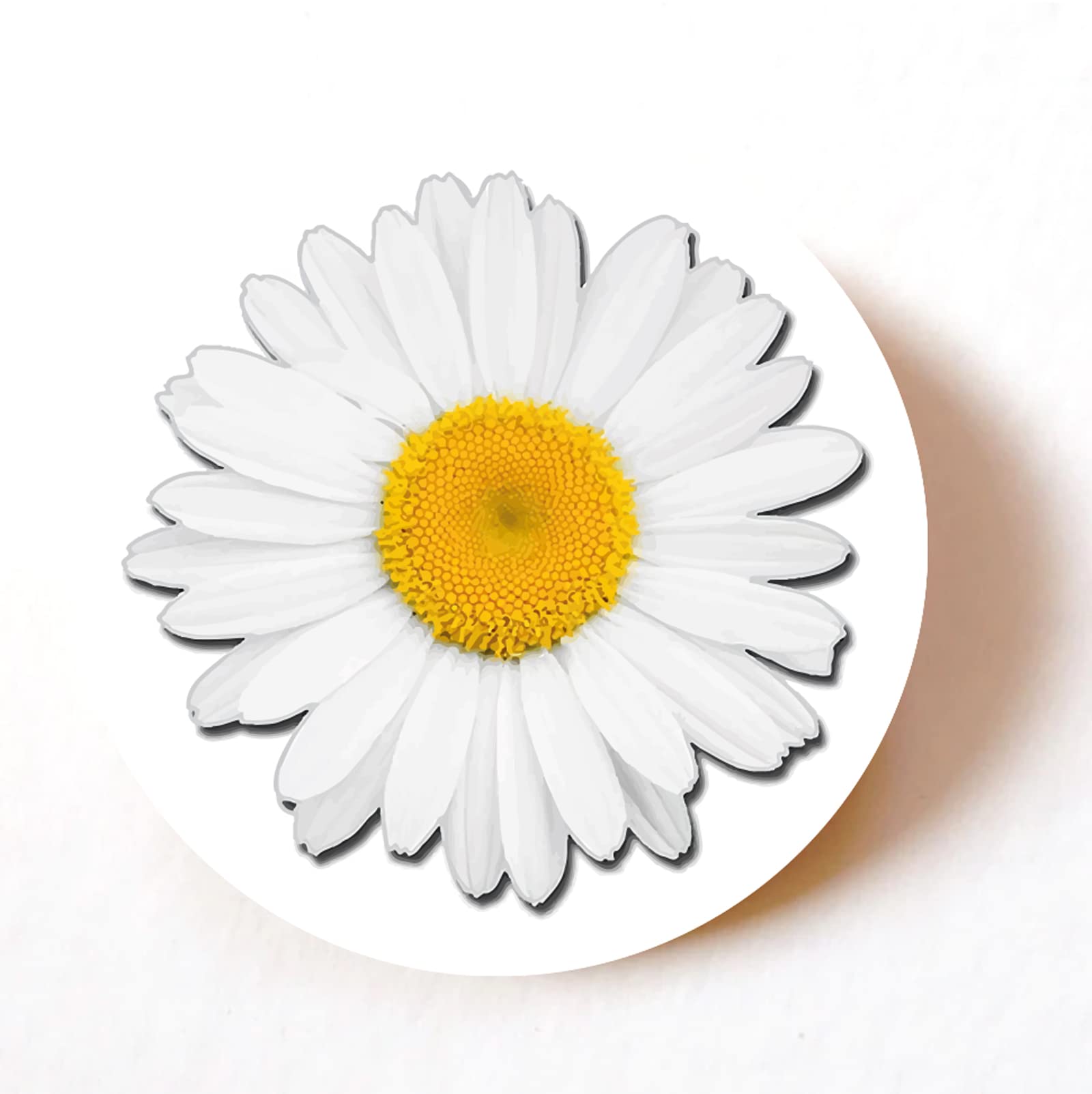 stika.coDaisy Flower Paper Labels – Large Set of 24, 72, or 240 Round Adhesive Stickers for Crafting, Scrapbooking, Gift Wrapping, Party Favours & Organising (24)