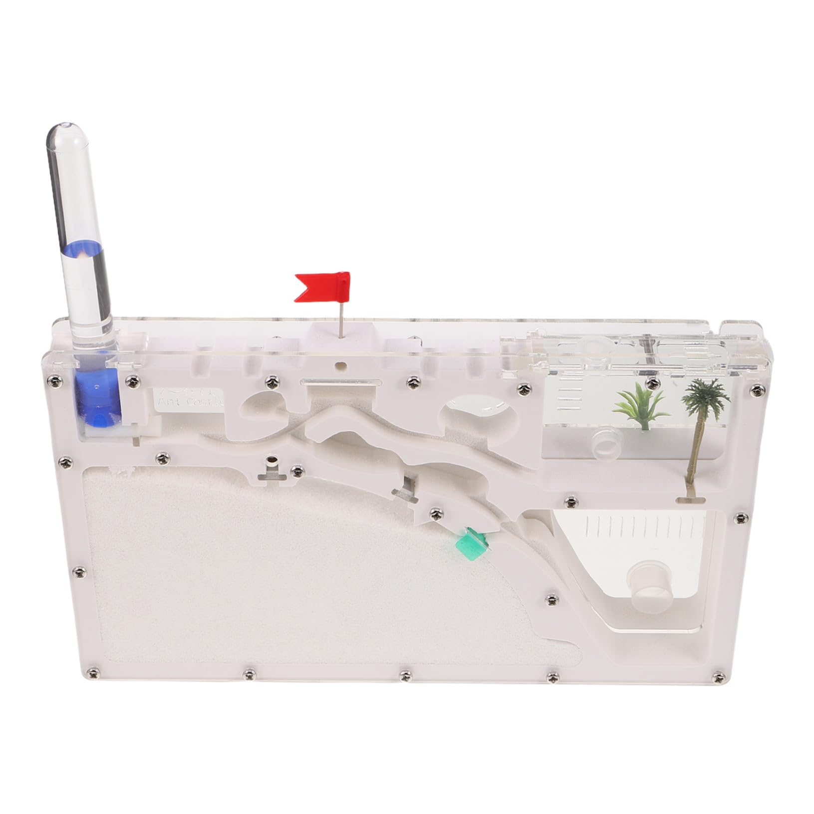 TOYANDONA Juguetes Ecoeducativos Hormiguero Recinto para Insectos Kit de Experimentos Científicos Herramienta de Observación de Insectos para Exploración al Aire Juguete Educativo