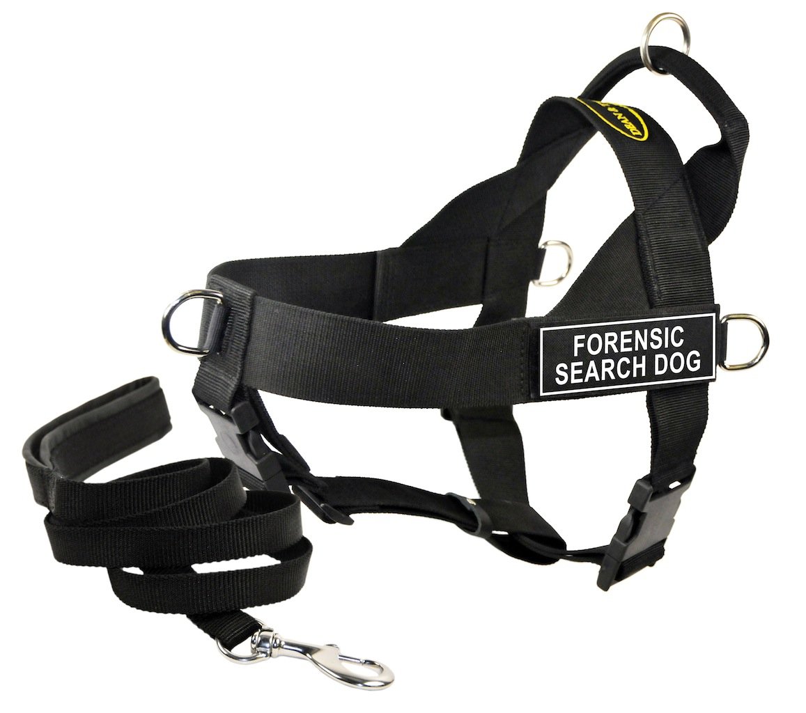 Harnais de recherche Forensic DT Universal petite taille et laisse chiot rembourrée