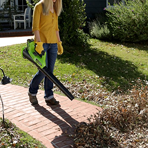 Greenworks 40V Electric Leaf Blower, 430 CFM / 115 MPH, 2.0Ah Battery and Charger Included BA40L210