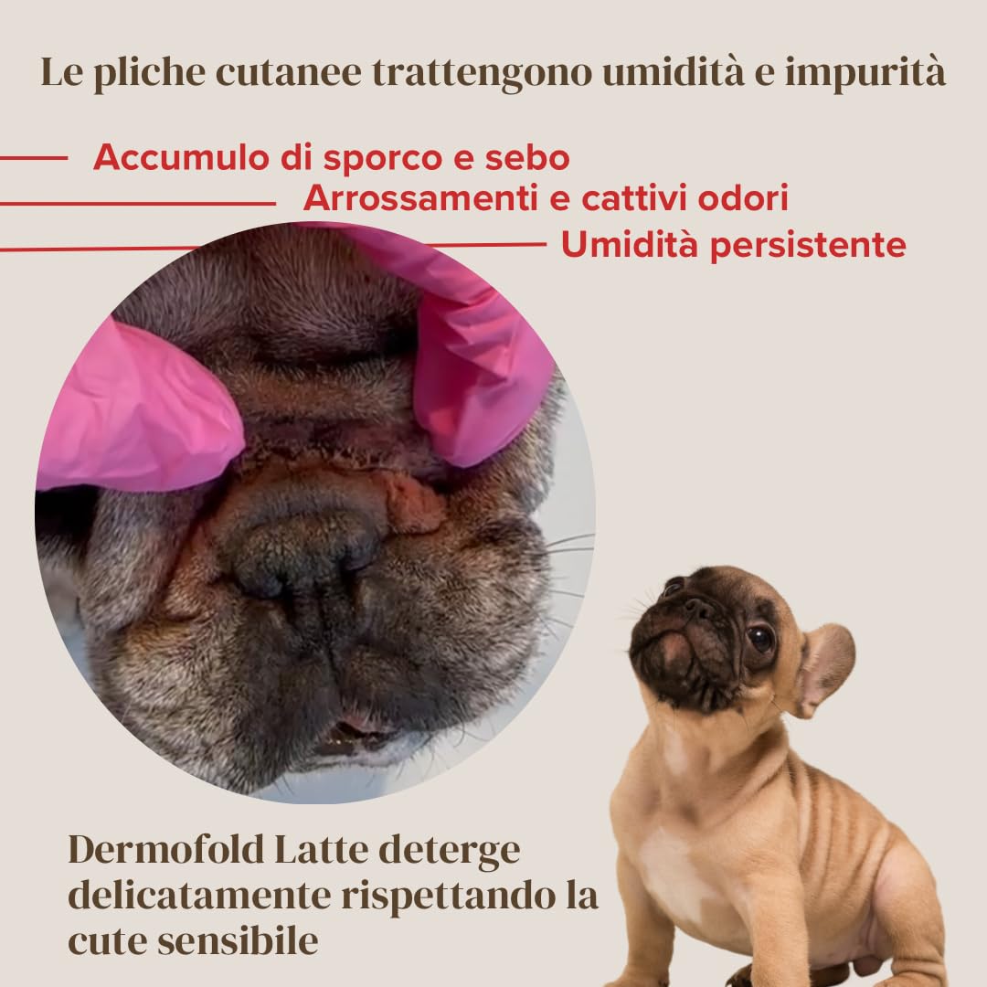 DermoFold Latte Detergente per Cani - Senza Risciacquo, per Pieghe Cutanee, Emolliente e Antiprurito - Ideale per Bulldog, Carlini, Mastini, Shih Tzu - Senza Clorexidina, Alcol, SLS/SLES e Siliconi