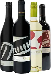 Kit 4 Vinhos Chilenos Pinot Noir Carmenere Cabernet e Sauvignon Blanc Cuentos Del Fuego