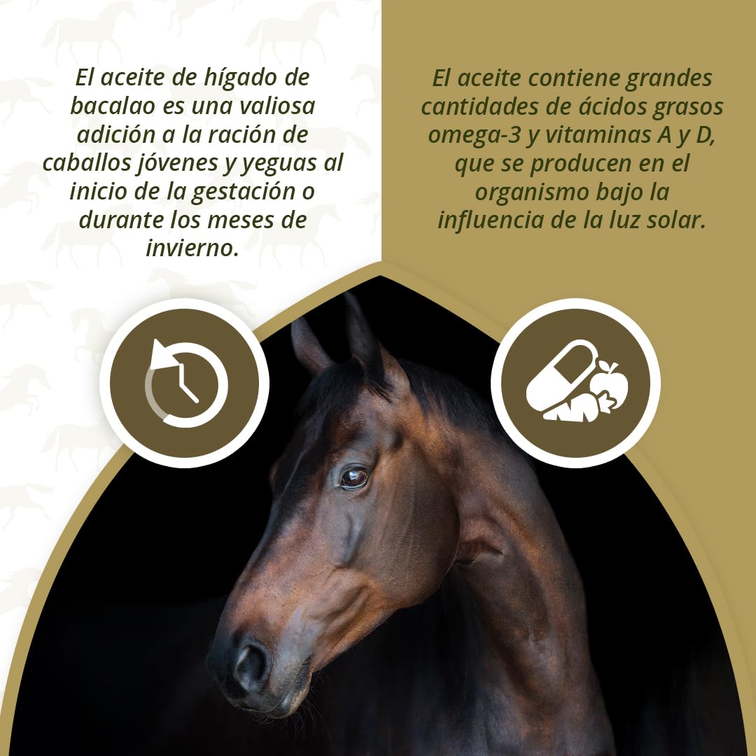 EXCELLENT Suministros Para El Cuidado De La Salud Aceite De Hígado