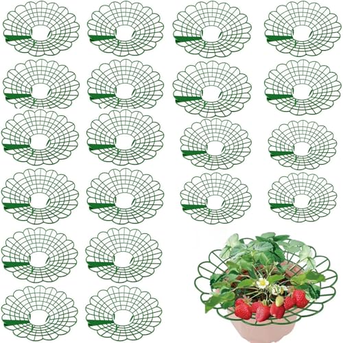園芸支柱 イチゴ サポート 莓サポート いちご植え支柱 チゴ支え いちご棚 ストロベリーサポート 支持構造 傾き/揺れ防止 設置簡単 果物 野菜 花 鉢植え イチゴ栽培 植物サポートホルダー 農業用 家庭用 屋外 庭用 園芸用 (20Pcs)