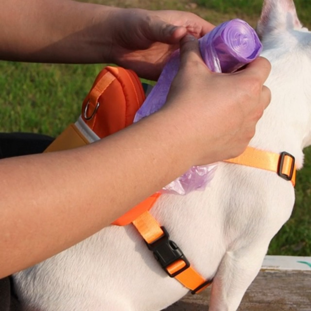 Amazon | RUUVIJP 犬用リュック ハーネス リード セットペットバック