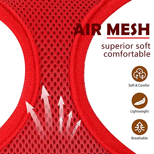 Soft Mesh Dog Harness And Leash Set Stripe Pet Puppy Cat Comfort Padded Vest No Pull Harnesses Chihuahua Harness (Red(Leash), Xx-Small) #TOP5