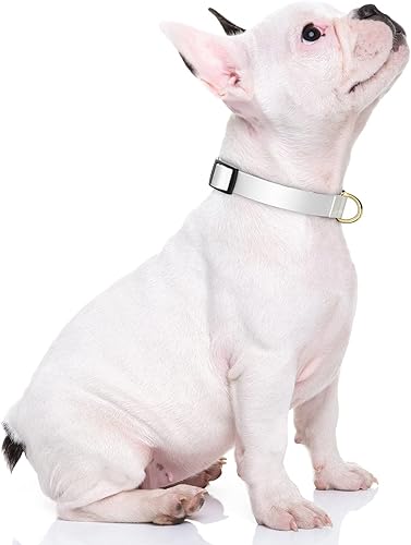 Miniatura 2 de Collar de perro, collar blanco ajustable para perros pequeños, lindo collar de cachorro para perros machos y hembras, collares clásicos resistentes