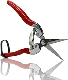 Sanung Pruning Shears Garden Tools Shears Lasting Sharp Labor-Saving for Trimming Plants Fruit Branches Shrub and Flower Suitable for Parks and Courtyard