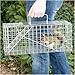 Havahart 1077 Small Professional Style One-Door Animal Trap for Squirrel, Rabbit, Skunk, and Mink
