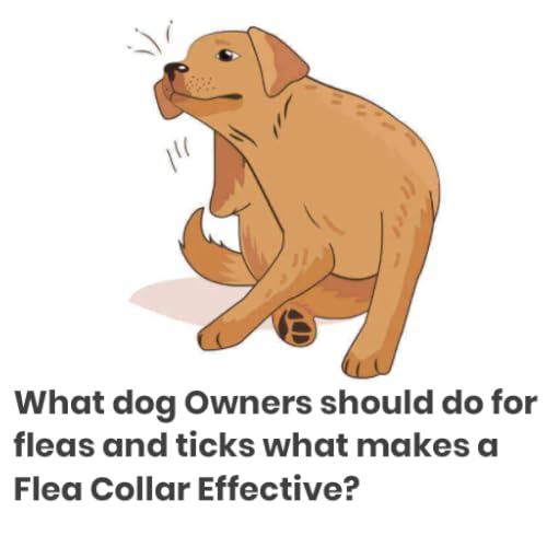What dog Owners should do for fleas and ticks what makes a Flea Collar Effective?
