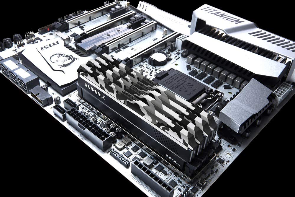 Amazon.com: G.Skill Sniper X 64GB DDR4 3600MHz Memory Module