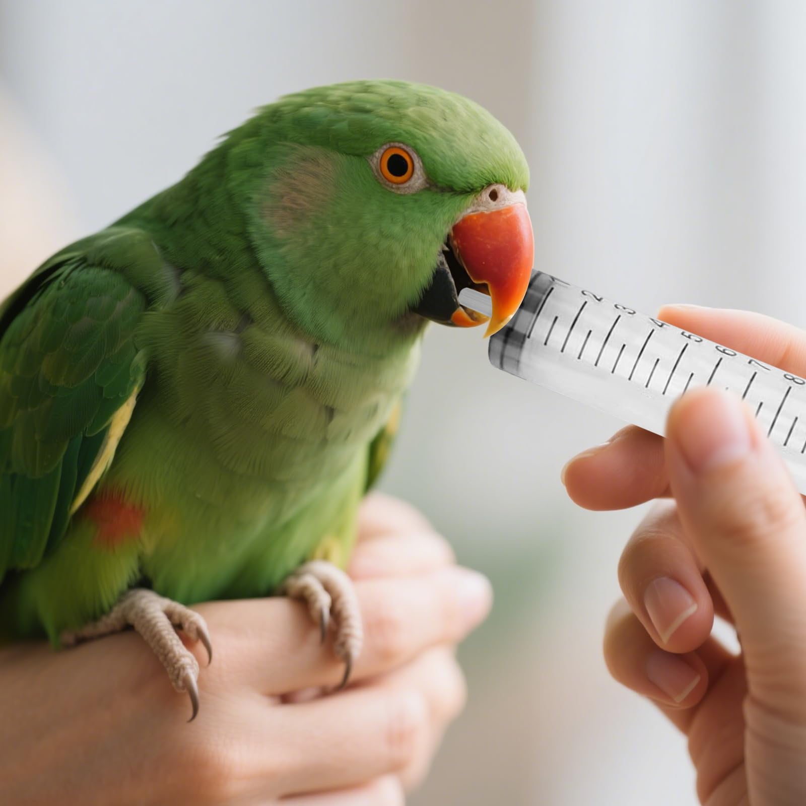 Lot de 11 tuyaux d'alimentation pour jeunes oiseaux avec seringue de 10 ml | Outil d'alimentation à la main pour pigeons, perroquets et bébés oiseaux | Seringue à nourriture avec sonde de