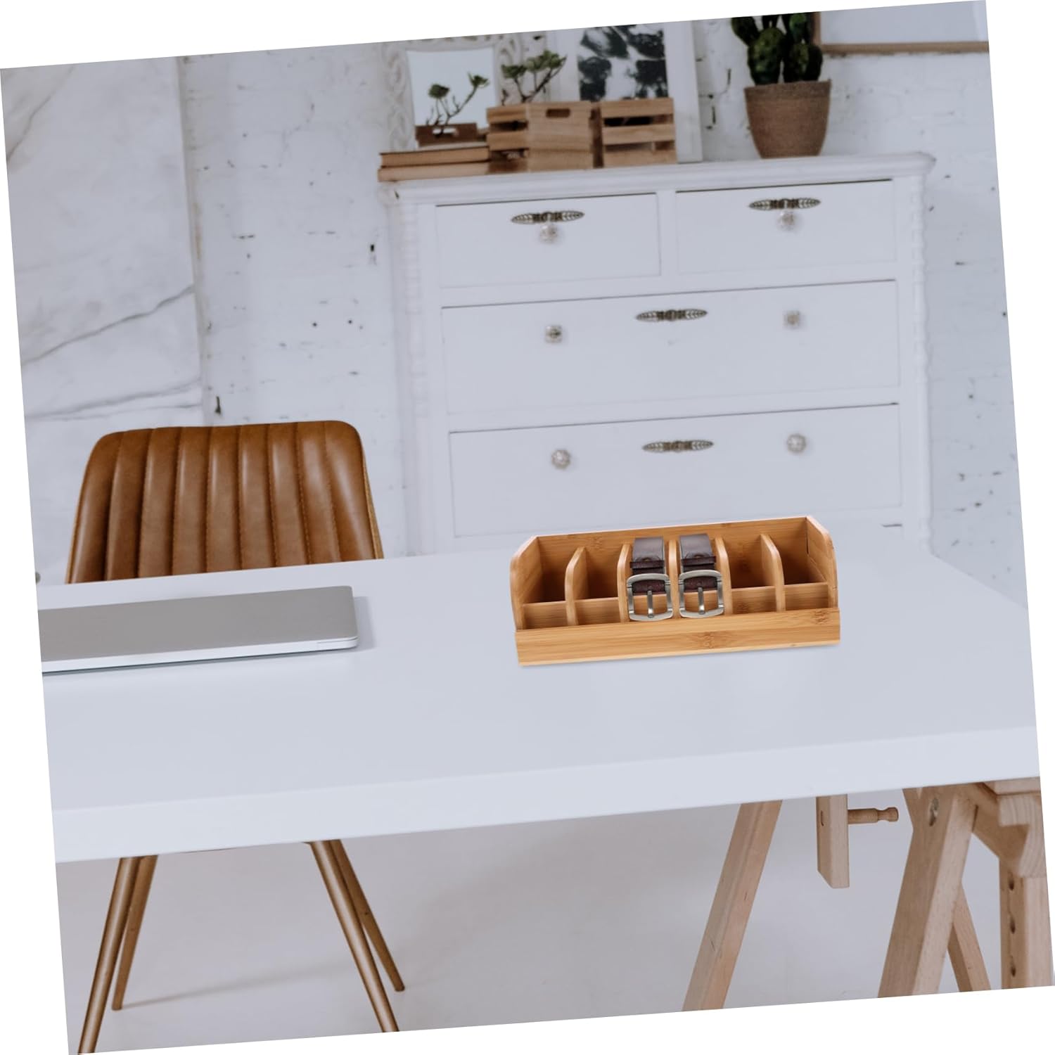 PRETYZOOM Belt Storage Box Compartment Display Organizer for Belts Lightweight and for Closet and Retail Use for Merchandise Display