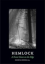 Hemlock: A Forest Giant on the Edge