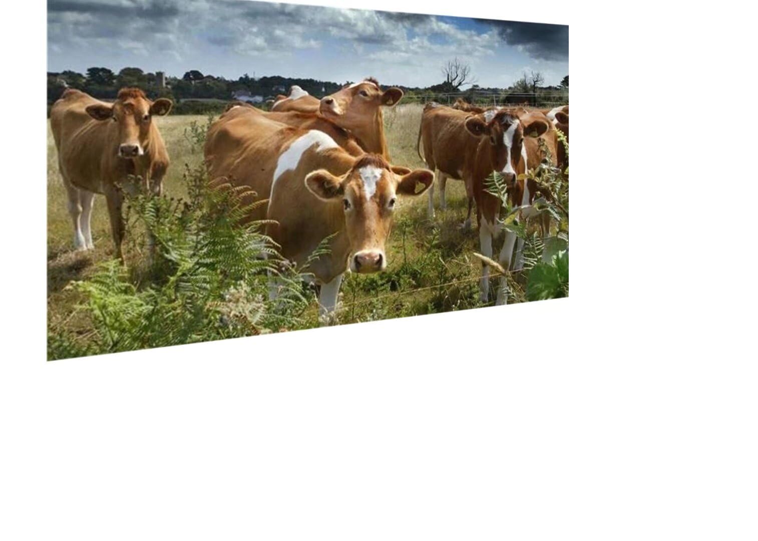 Grand format broderie diamant kit complet vache : Évadez-vous avec le Diamond Painting 5D