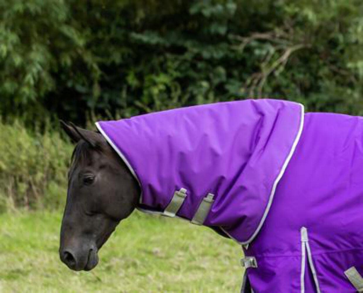Swish Equestrian 100g Purple Turnout Rug Neck Cover