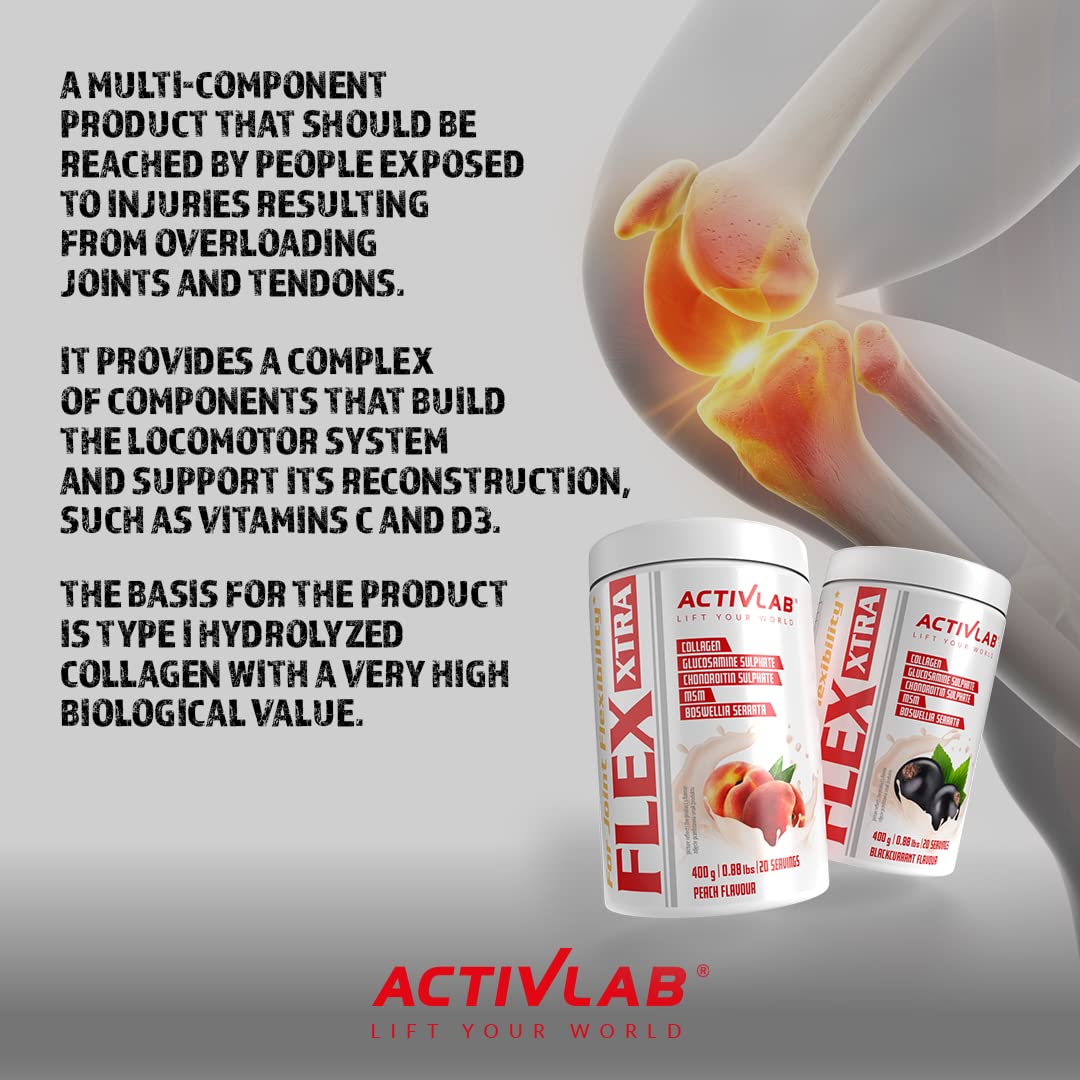 Activlab FLEX Xtra 400g | Czarna Porzeczka | Kolagen Typ I | Glukozamina | MSM | Witamina C B6 D | Hyaluronian | Dla Stawów