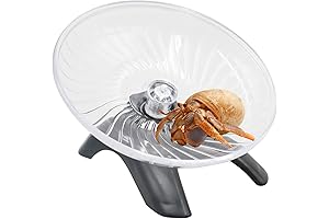Hermit Crab Toys and Accessories: Ultimate Fun for Your Tiny Ocean Dwellers