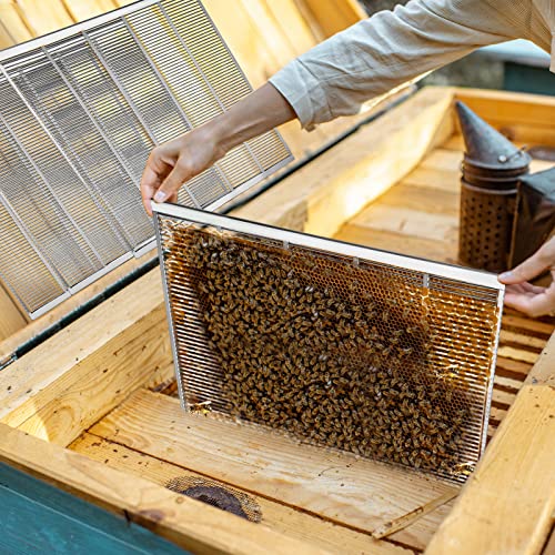 4-Pcs-Metal-Queen-Excluder-for-10-Frame-Hive-Metal-Queen-Bee-Excluder-Separates-Queen-Bees-from-Honey-Beekeeping-Tools-Beekeeping-Supplies-2008-x-1614-Inch