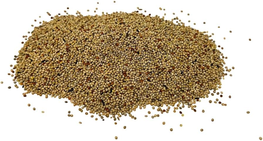 Superpet Premium Finch Bird Seed Mix, Soft White Millet Bird Food for Finches, Aviary Seed for Greenfinch and Goldfinches, Breeding Nutrition for Caged Birds (10kg)