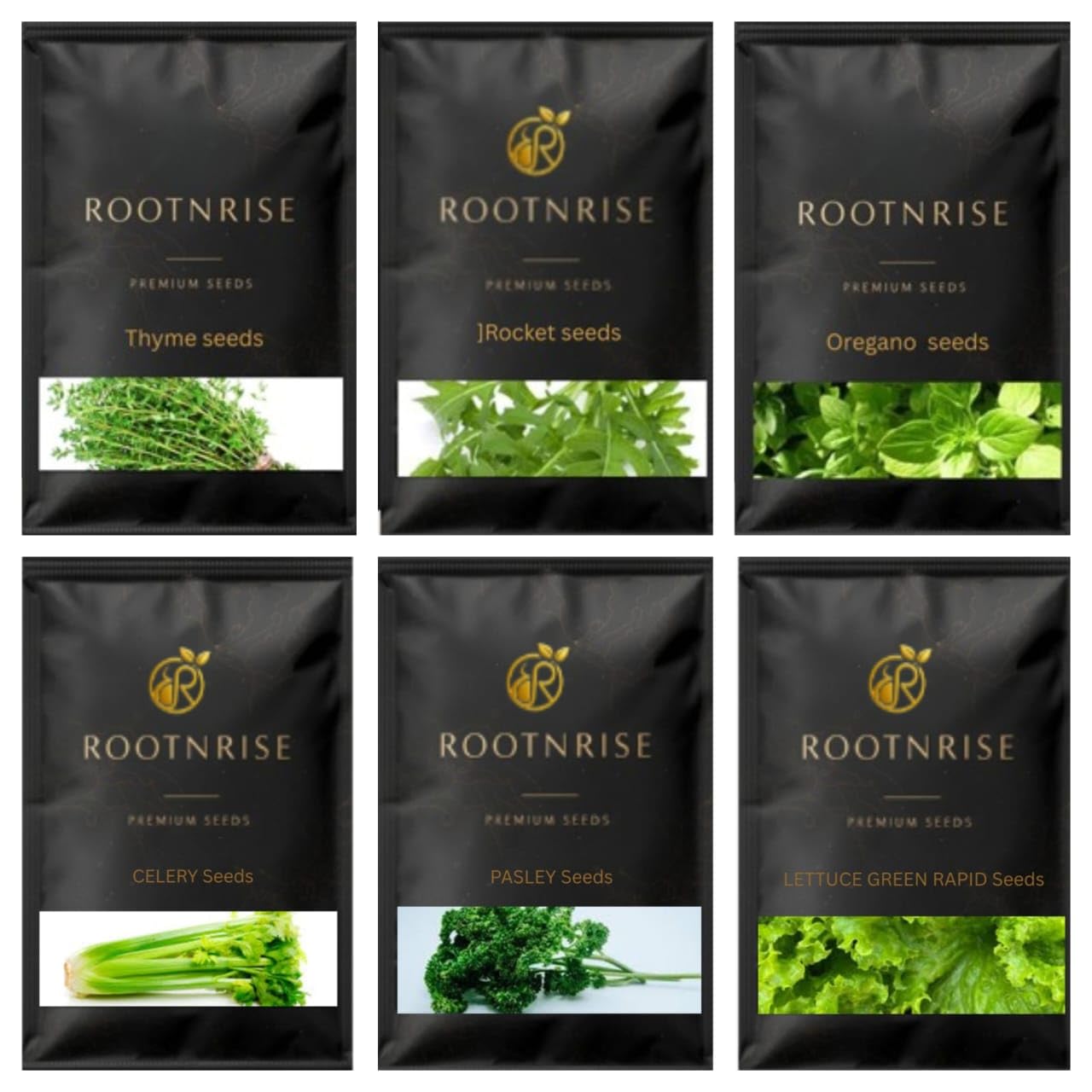 RootNrise Easy to Grow 6 Herb Seeds Combo, Celery Oregano Thyme Lettuce Parsley and Rocket, Premium Seeds, Best Gift for Gardeners-image-16