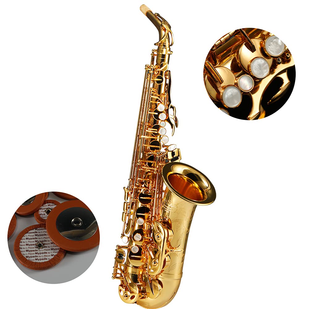 Rollins Saxophone alto RSA-X10,E flat Selmer 54-Key,Matière laiton, Or
