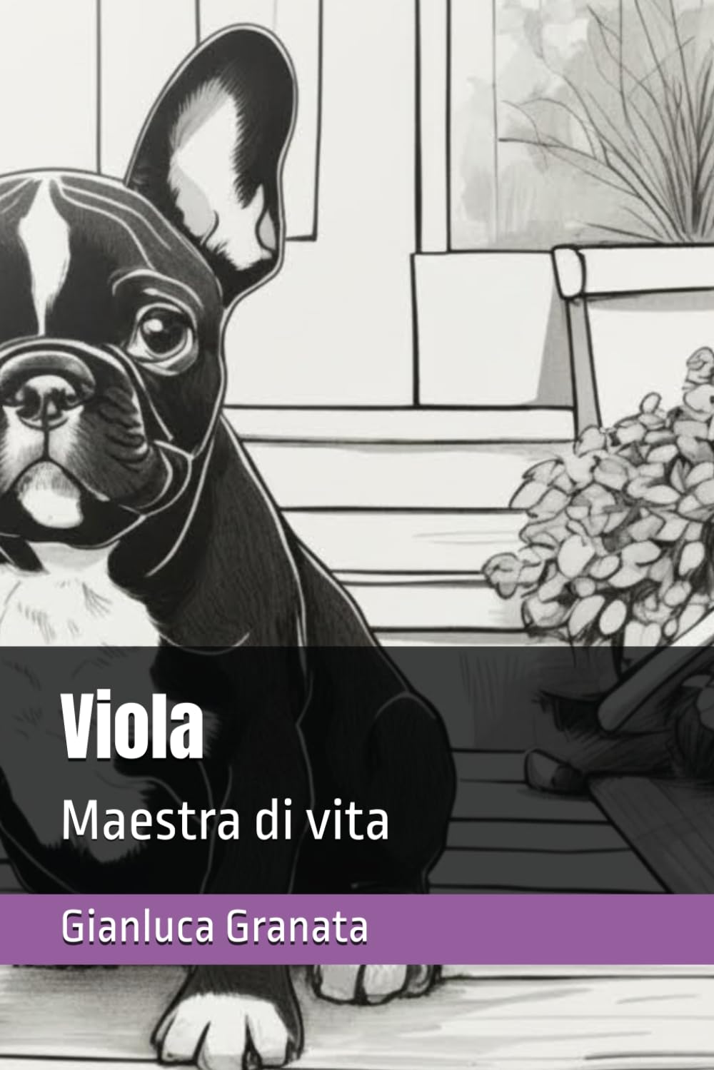 Viola: Maestra di vita (Zampe nel cuore)