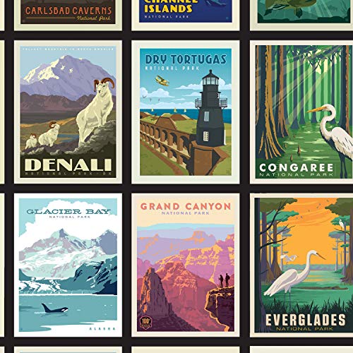 National Parks Posters Panel by Anderson Design Group Collection from