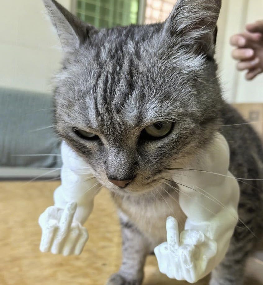 Cat With Muscular Arms - 3D Printed Funny Pet Costume Prop For Cats And Small Dogs, Funny Ornaments, Giant Hand Muscle Arm Costume For Kitten Halloween & Birthday Parties (white, finger)