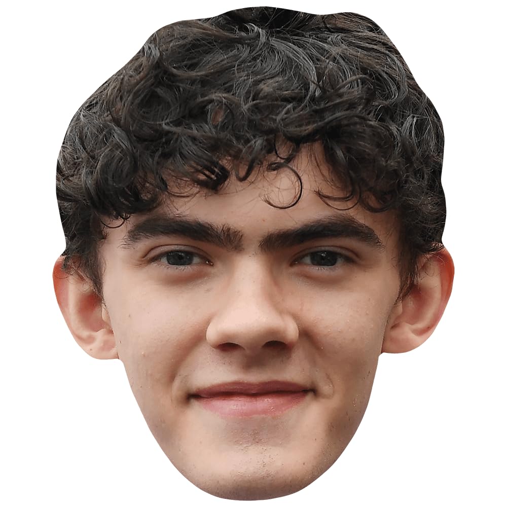 Celebrity Cutouts Lifelike Joe Locke (Dark Hair) Celebrity Mask, Flat Card Face, Fancy Dress Mask