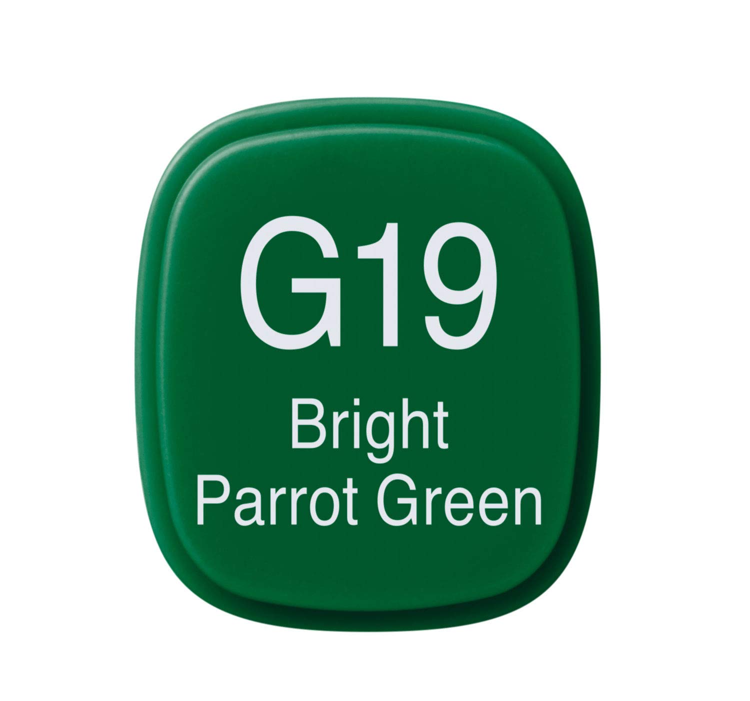 Copic Classic Coloured Marker Pen, (G-19) Bright Colours Parrot Green, For Art & Crafts, Colouring, Graphics, Highlighter - Image 3