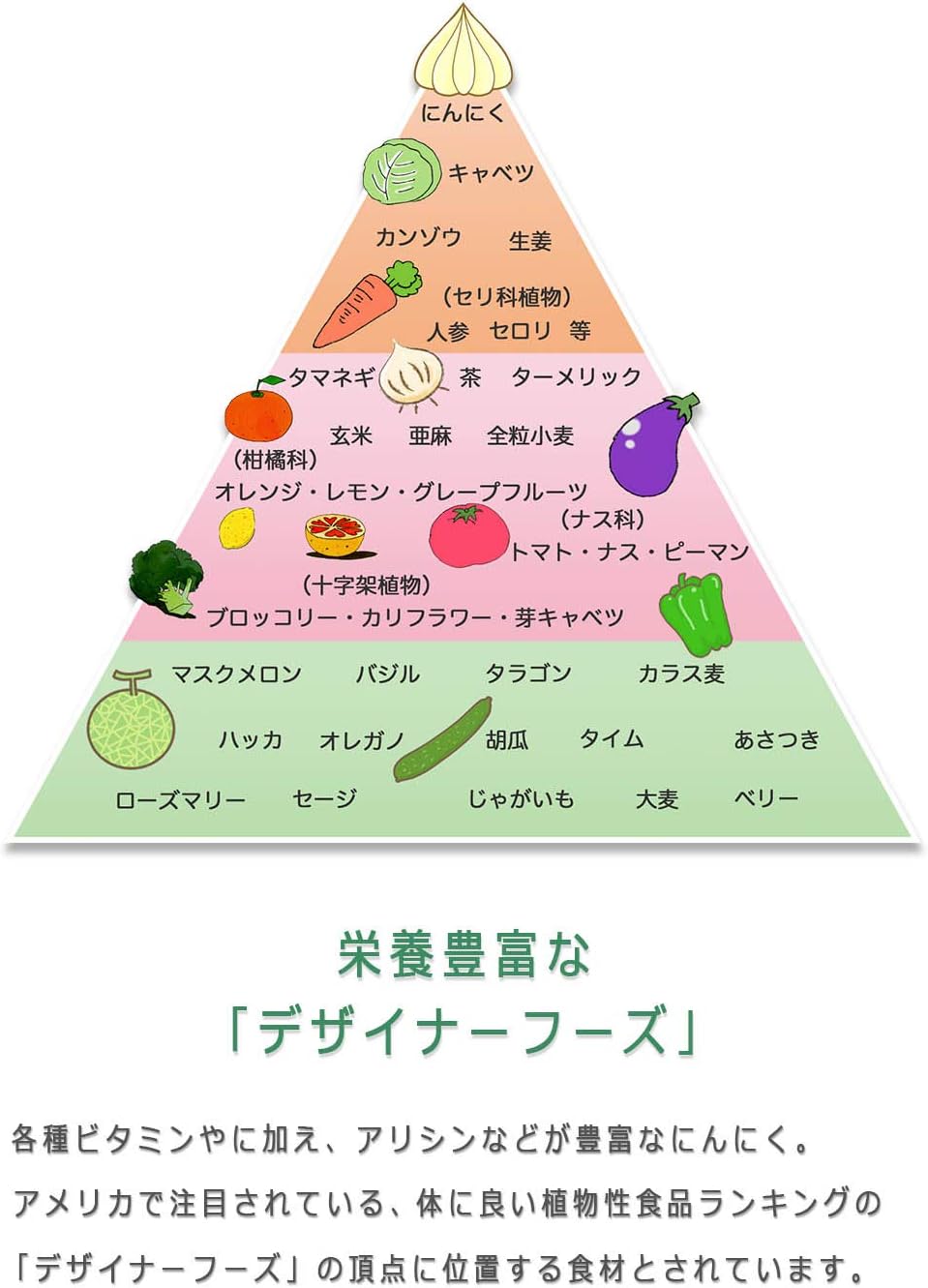 Amazon 発芽にんにく 水耕栽培 国産 50本 25本x2袋 スプラウトにんにく クール便配送 ビヨンドファームズ にんにく 通販