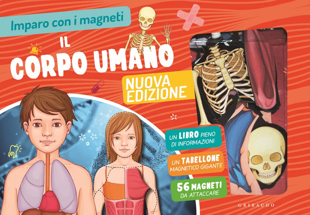 Il Corpo Umano. Imparo Con I Magneti. Con 56 Magneti. Con Tabellone - 4
