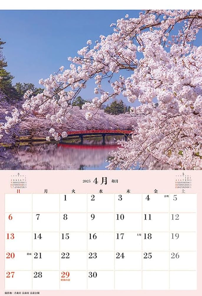 バニボ　BURNIB さくらの森　2025年カレンダー 着圧シェイパー3点セット 公式【バニボ】脂肪が気になる方に | さくらの森 公式通販