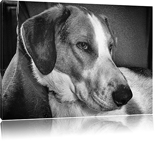 Pixxprint Le Repos de Jack Russell Terrier Art Toile 60x40cm Murale XXL