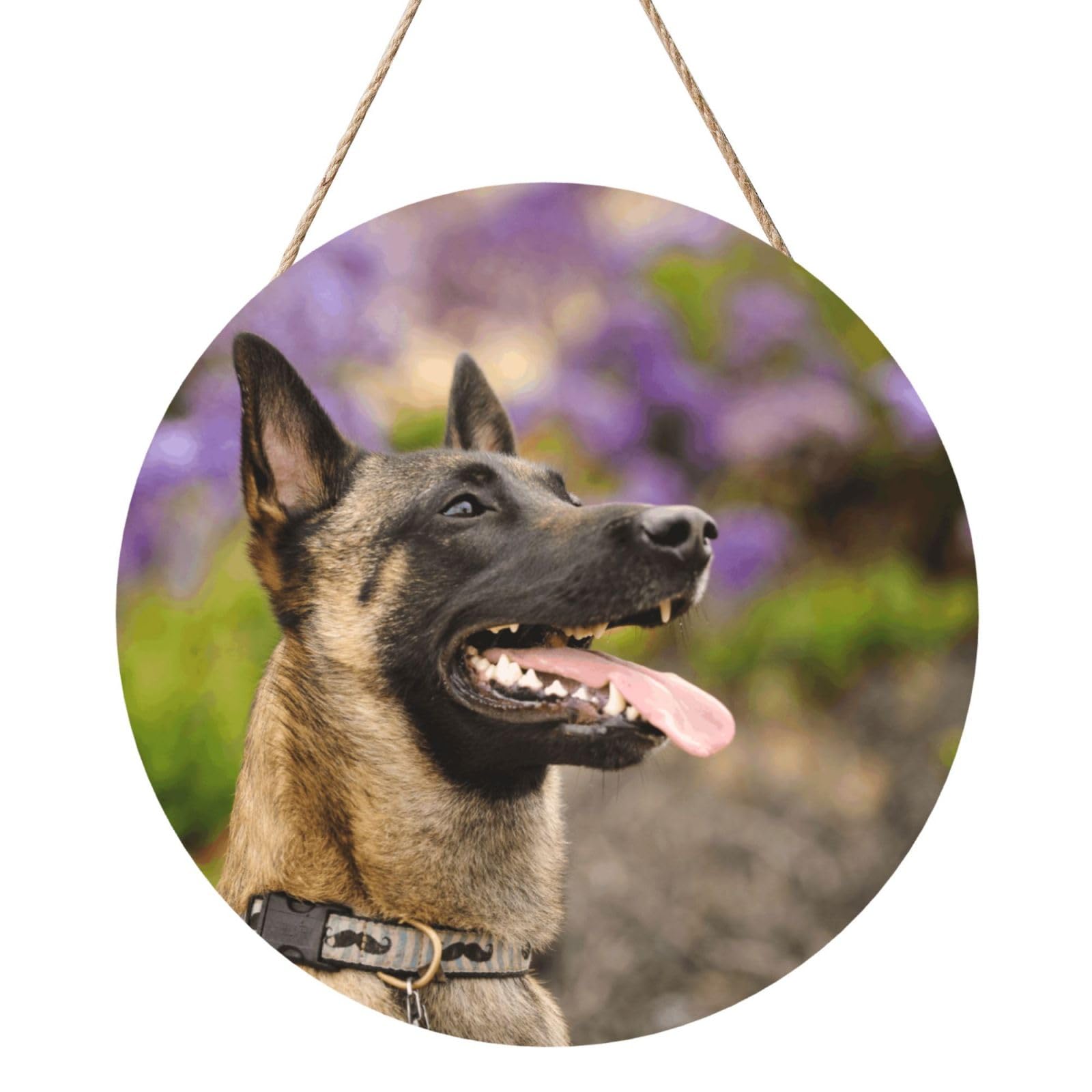 InOmak Belgian Malinois Pets Dogs Belgian Malinois, Round Wood Panel Painting 12 in, Wall Hanging Painting For Home