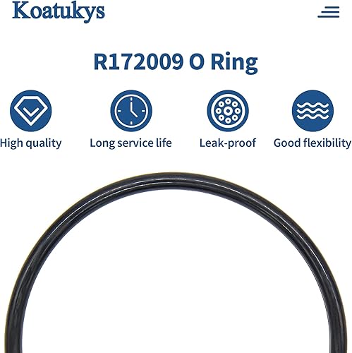 Miniatura 5 de R172009 O-283 O-Ring para Pentair Rainbow Modelo 300/320 Tapa de Clorador de Piscina y Spa (2/Pack)