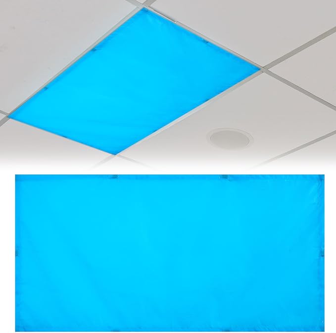 Patelai 4 x 2 Feet Fluorescent Light Cover for Ceiling Lights Light Cover with 10