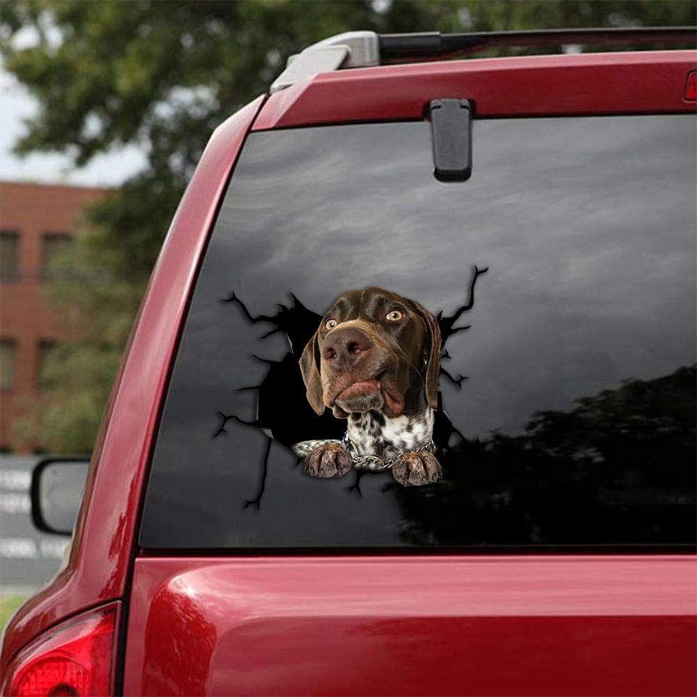 Ocean Gift German Shorthaired Pointer Car Decals, Dog Car Stickers Pack of 2 - Realistic German Shorthaired Pointer Stickers for Car Windows, Walls Series 70 Size 8