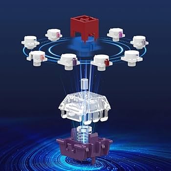 61bu0ZxtEHL._AC_UF350,