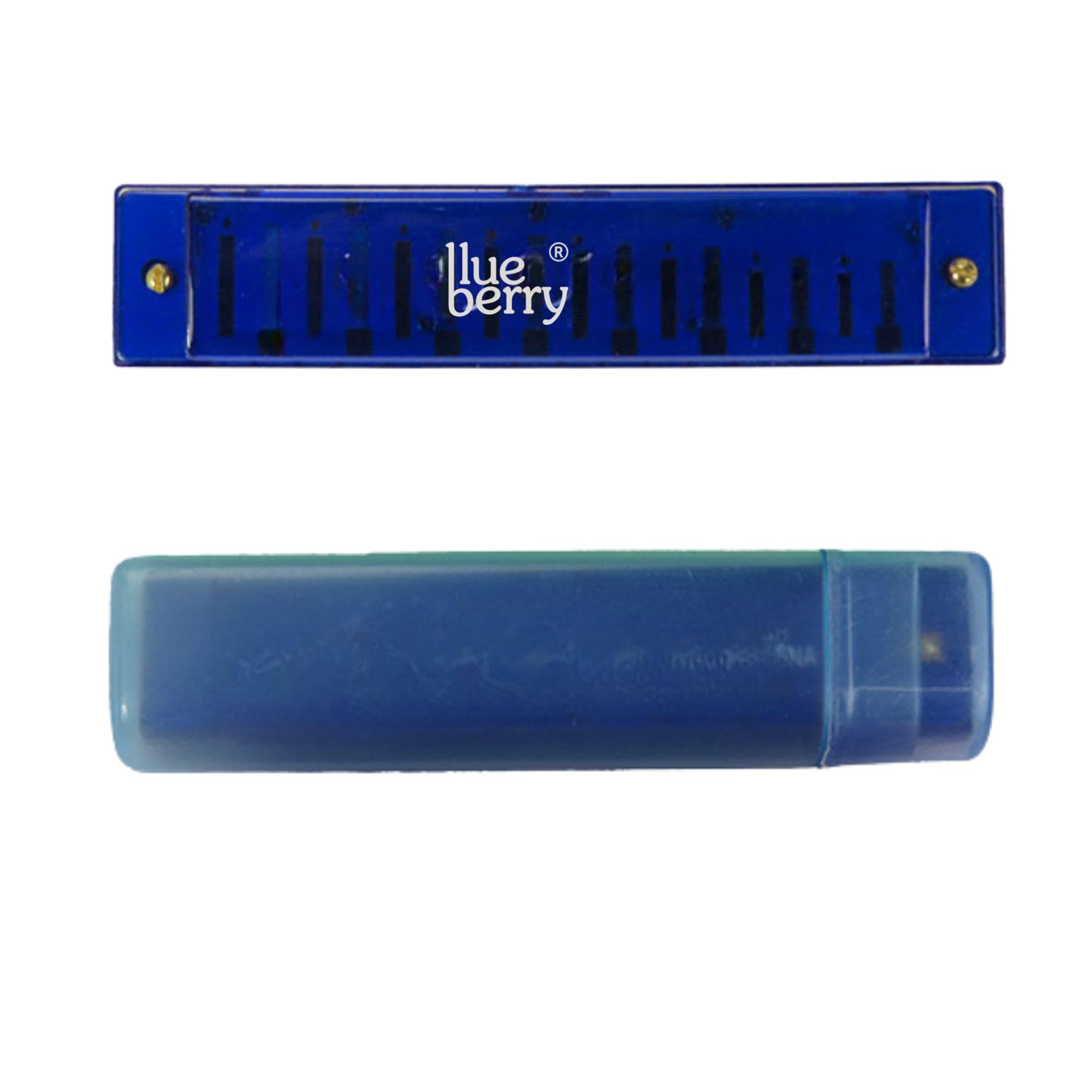 BLUEBERRY R-1602-BLUE, Key C,16 Holes Educational Mouth Organ Harmonica for Beginnner-image-27