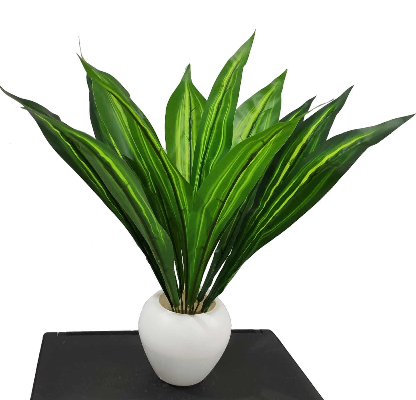 See full amazon price history chart for BK Mart Cast Iron Plant | Ornamental Plant for Home/Shop/Office Decor and Gifting, having 12 Long Leaves | Natural Looking Indoor Plant with Pot (40 cm) (Yellow-Green) BK Mart Cast Iron Plant | Ornamental Plant for Home/Shop/Office Decor and Gifting, having 12 Long Leaves | Natural Looking Indoor Plant with Pot (40 cm) (Yellow-Green) (B0C6L2JK9N) Amazon Price History, Amazon Price Tracker
