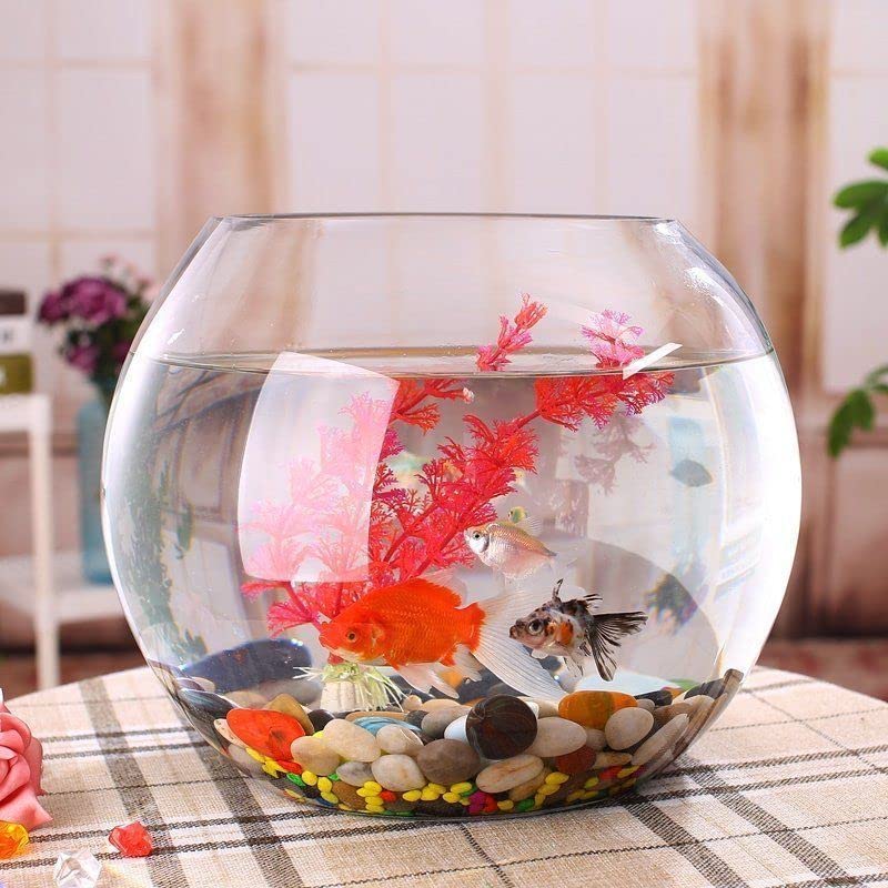 オメガ様オーダー専用ページ　アクリル金魚鉢フラワーアレンジ　大1 小4 Amazon | 金魚鉢 丸型金魚鉢 分厚い水槽 高プラスチック透明